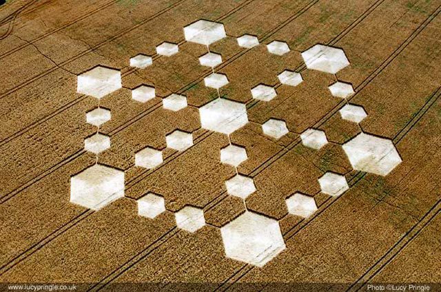 Crop formation: Wiltshire, 2005 Crop formation: Wiltshire, 2005